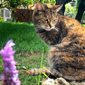 Meet your Posher, Maddison